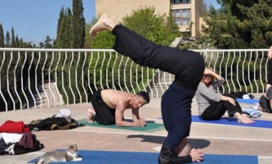 ????????????????????????????????????